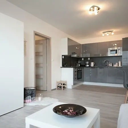 Apartmán Levského Praga